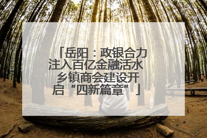 岳阳：政银合力注入百亿金融活水 乡镇商会建设开启“四新篇章”