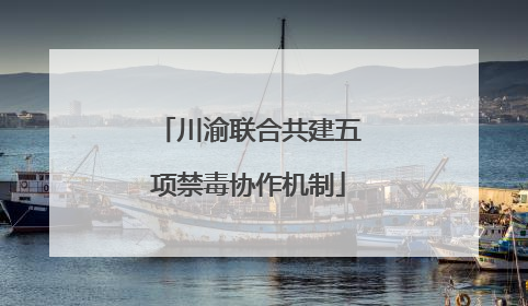 川渝联合共建五项禁毒协作机制