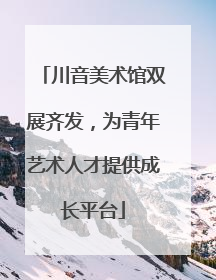 川音美术馆双展齐发，为青年艺术人才提供成长平台