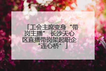 工会主席变身“带岗主播” 长沙天心区直播带岗架起职企“连心桥”