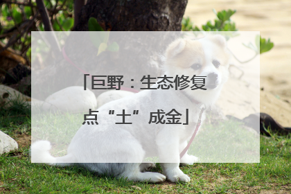 巨野：生态修复点“土”成金