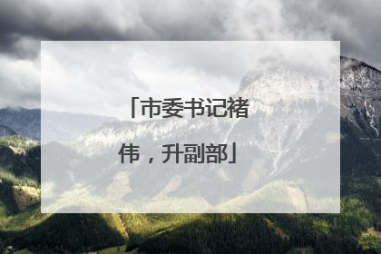 市委书记褚伟，升副部