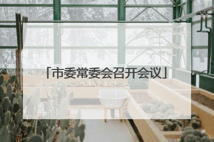 市委常委会召开会议