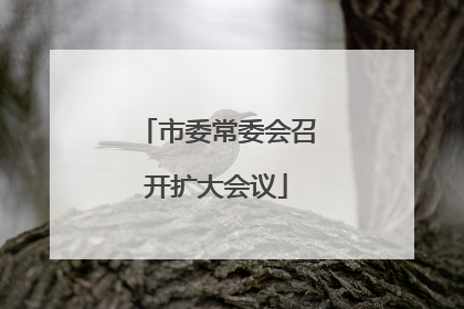 市委常委会召开扩大会议