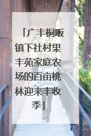 广丰桐畈镇下社村果丰苑家庭农场的百亩桃林迎来丰收季
