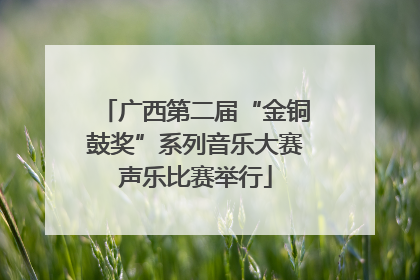 广西第二届“金铜鼓奖”系列音乐大赛声乐比赛举行