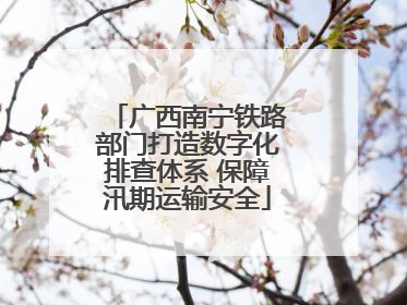 广西南宁铁路部门打造数字化排查体系 保障汛期运输安全