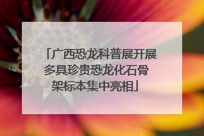 广西恐龙科普展开展 多具珍贵恐龙化石骨架标本集中亮相