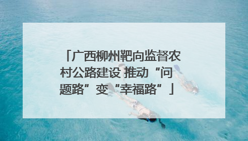广西柳州靶向监督农村公路建设 推动“问题路”变“幸福路”