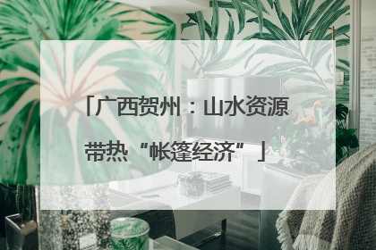 广西贺州：山水资源带热“帐篷经济”