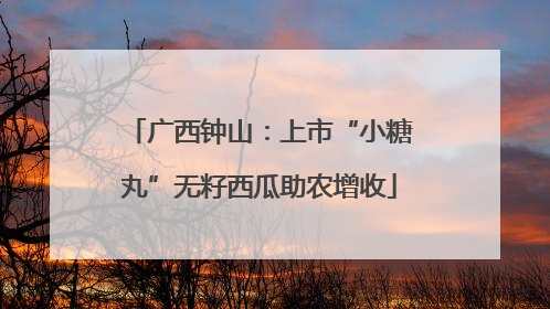 广西钟山：上市“小糖丸”无籽西瓜助农增收