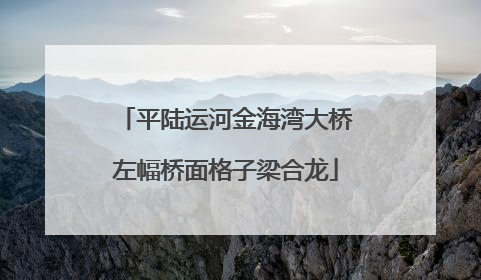 平陆运河金海湾大桥左幅桥面格子梁合龙