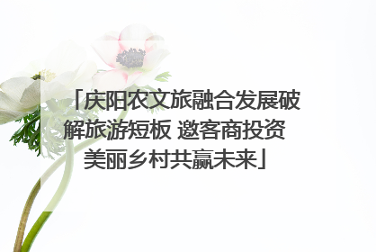 庆阳农文旅融合发展破解旅游短板 邀客商投资美丽乡村共赢未来