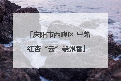 庆阳市西峰区 早熟红杏“云”端飘香