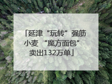 延津“玩转”强筋小麦 “魔方面包”卖出132万单