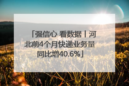 强信心 看数据丨河北前4个月快递业务量同比增40.6%