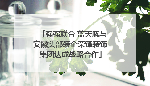 强强联合 蓝天豚与安徽头部装企荣锋装饰集团达成战略合作