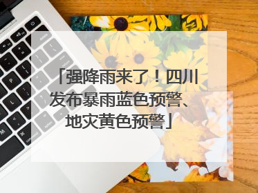 强降雨来了！四川发布暴雨蓝色预警、地灾黄色预警