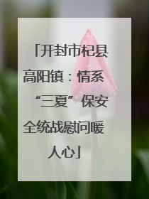 开封市杞县高阳镇：情系“三夏”保安全统战慰问暖人心