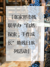 张家界市残联举办“自然探索，手作成长”助残日系列活动