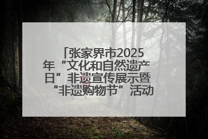 张家界市2025年“文化和自然遗产日”非遗宣传展示暨“非遗购物节”活动在慈利县盛大启幕