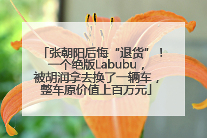 张朝阳后悔“退货”！一个绝版Labubu，被胡润拿去换了一辆车，整车原价值上百万元
