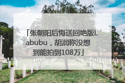 张朝阳后悔送回绝版Labubu，胡润称没想到能拍到108万
