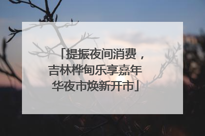 提振夜间消费，吉林桦甸乐享嘉年华夜市焕新开市