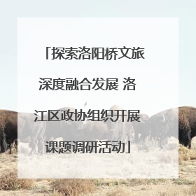 探索洛阳桥文旅深度融合发展 洛江区政协组织开展课题调研活动