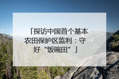 探访中国首个基本农田保护区监利：守好“饭碗田”