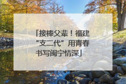 接棒父辈！福建“支二代”用青春书写闽宁情深