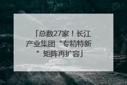 总数27家！长江产业集团“专精特新”矩阵再扩容