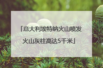 意大利埃特纳火山喷发 火山灰柱高达5千米