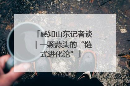 感知山东记者谈｜一颗蒜头的“链式进化论”