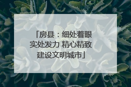 房县：细处着眼 实处发力 精心精致建设文明城市
