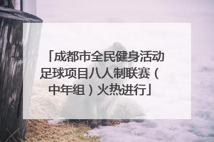 成都市全民健身活动足球项目八人制联赛（中年组）火热进行
