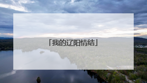 我的辽阳情结