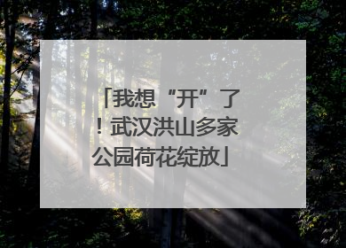 我想“开”了！武汉洪山多家公园荷花绽放