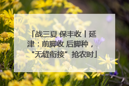 战三夏 保丰收丨延津：前脚收 后脚种，“无缝衔接”抢农时