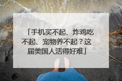 手机买不起、炸鸡吃不起、宠物养不起？这届美国人活得好难