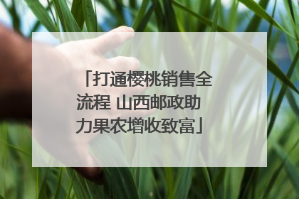 打通樱桃销售全流程 山西邮政助力果农增收致富