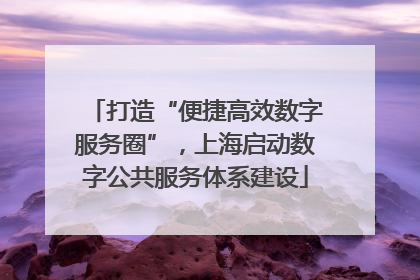 打造“便捷高效数字服务圈”，上海启动数字公共服务体系建设