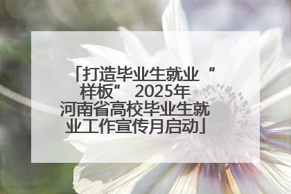 打造毕业生就业“样板” 2025年河南省高校毕业生就业工作宣传月启动