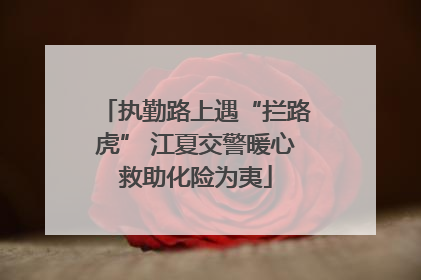 执勤路上遇“拦路虎” 江夏交警暖心救助化险为夷