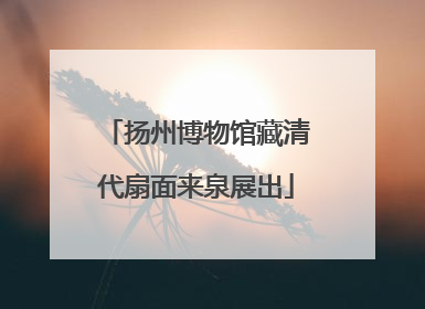 扬州博物馆藏清代扇面来泉展出