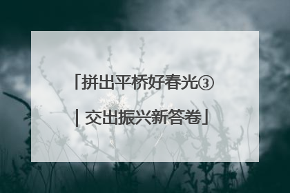 拼出平桥好春光③｜交出振兴新答卷