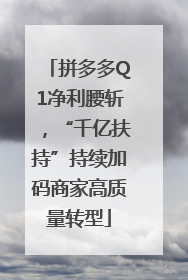 拼多多Q1净利腰斩，“千亿扶持”持续加码商家高质量转型