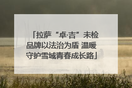 拉萨“卓·吉”未检品牌以法治为盾 温暖守护雪域青春成长路