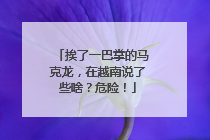 挨了一巴掌的马克龙，在越南说了些啥？危险！