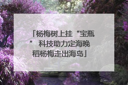 杨梅树上挂“宝瓶” 科技助力定海晚稻杨梅走出海岛